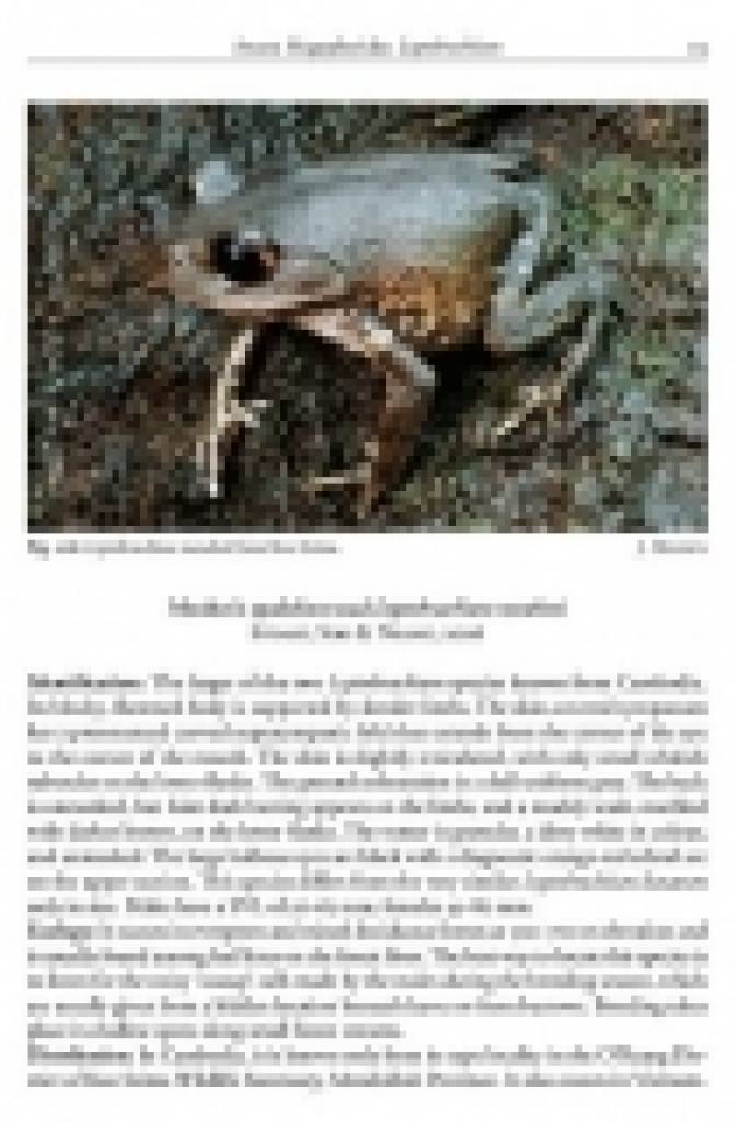 Amphibians of Cambodia